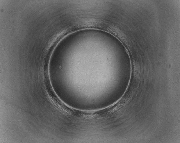 X0000072990482200607211202