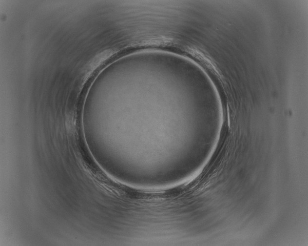 X0000072990483200607211202