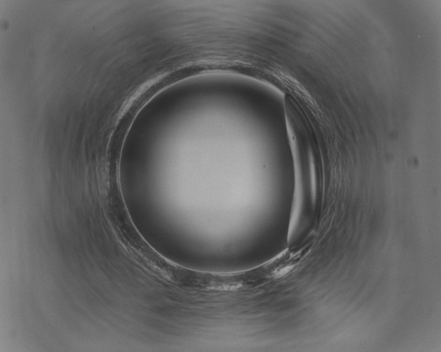 X0000072990484200607211202