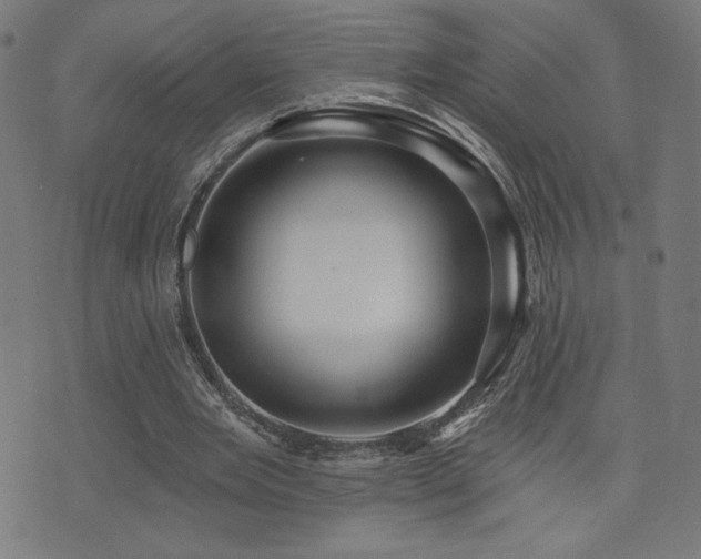 X0000072990485200607211202