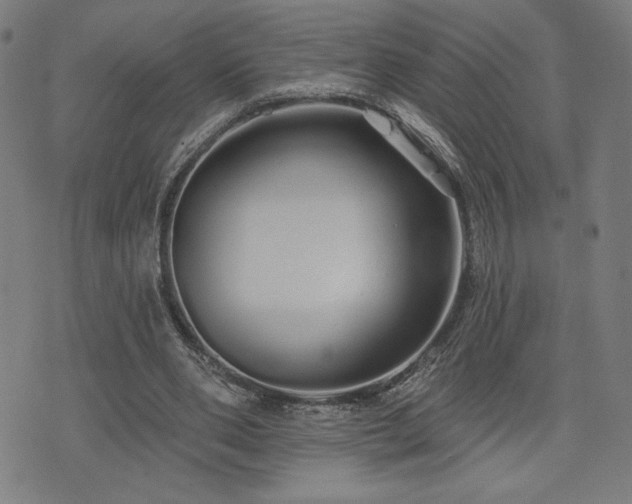 X0000072990486200607211202