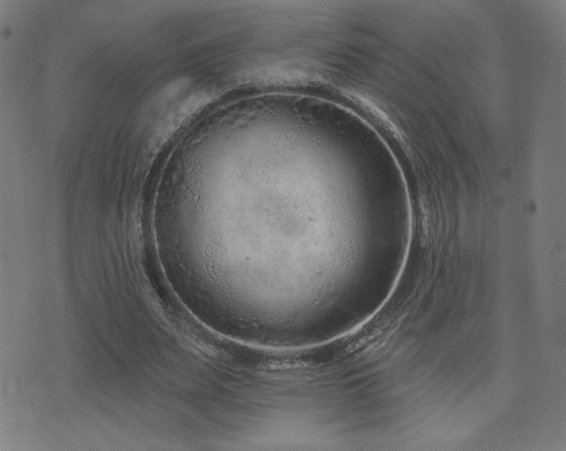 X0000072990487200607211202