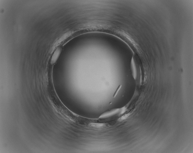 X0000072990488200607211202