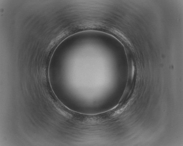 X0000072990489200607211202