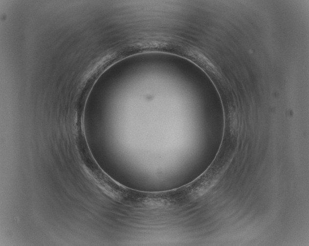 X0000072990490200607211202