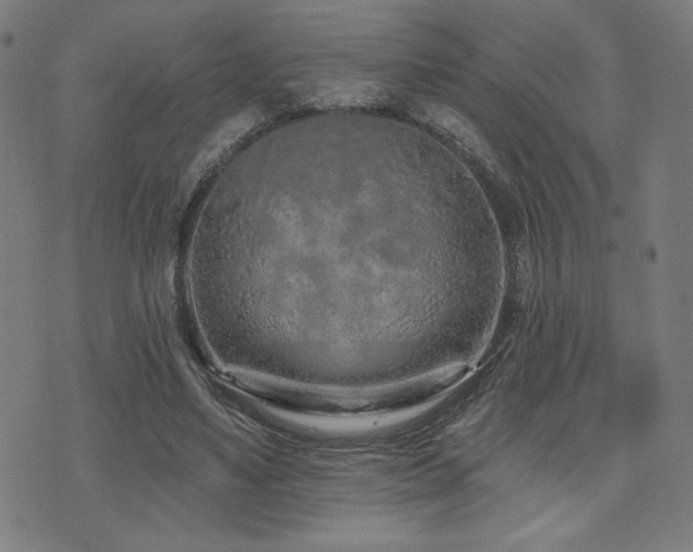 X0000072990491200607211202