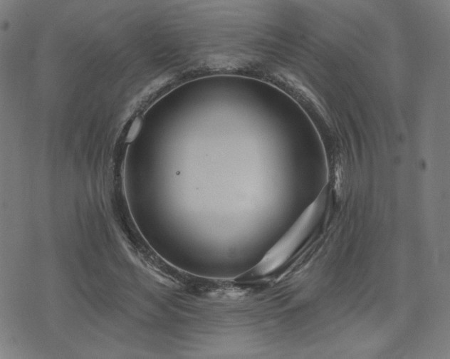 X0000072990492200607211202