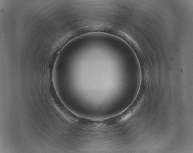 X0000072990493200607211202