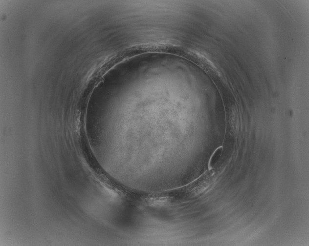 X0000072990495200607211202