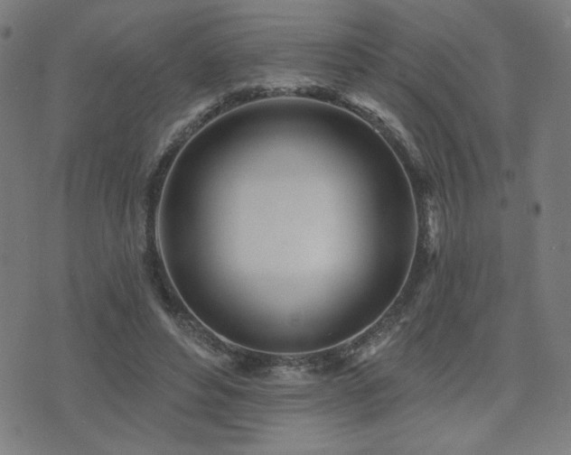 X0000072990496200607211202