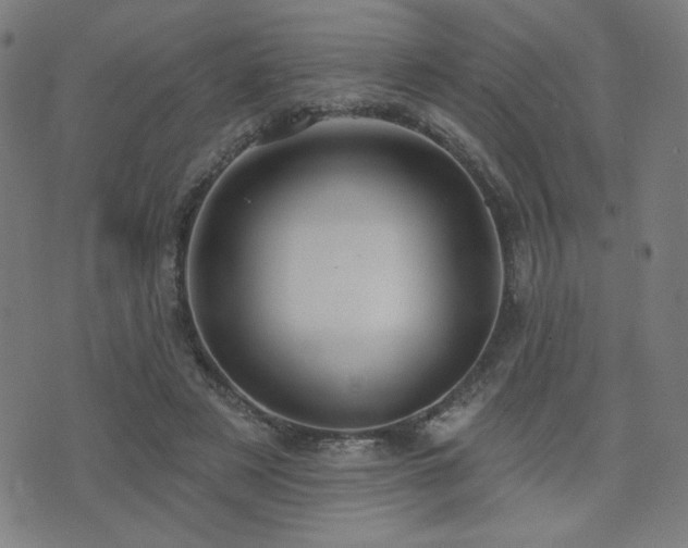 X0000072990497200607211202