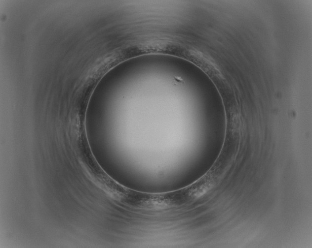 X0000072990498200607211202