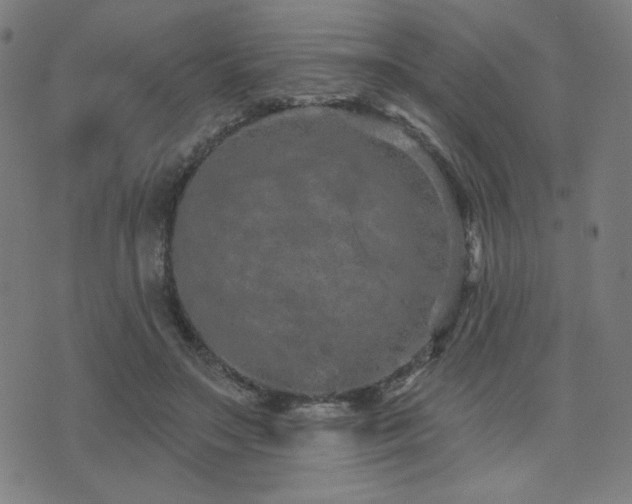 X0000072990499200607211202