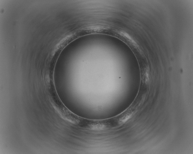 X0000072990500200607211202