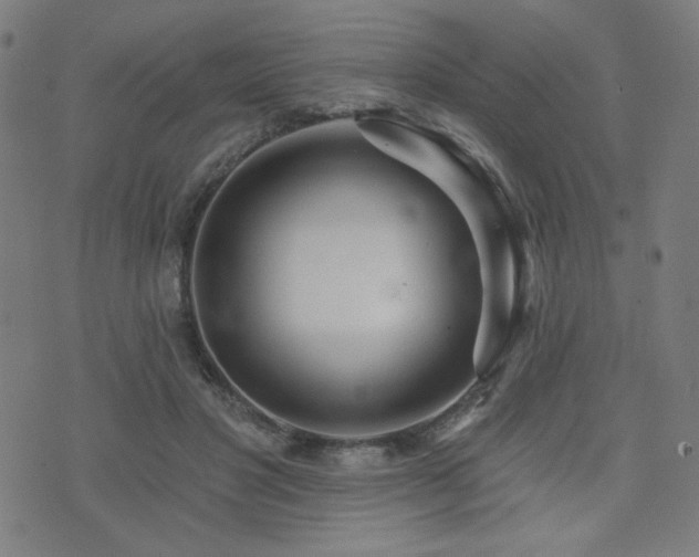 X0000072990501200607211202