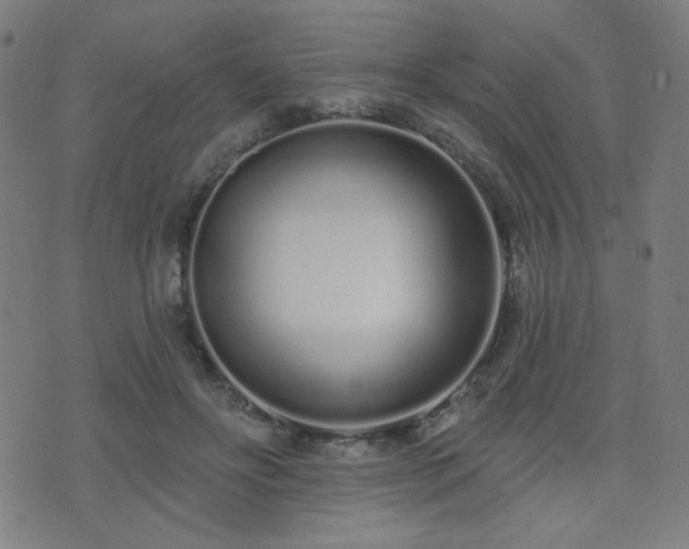 X0000072990502200607211202