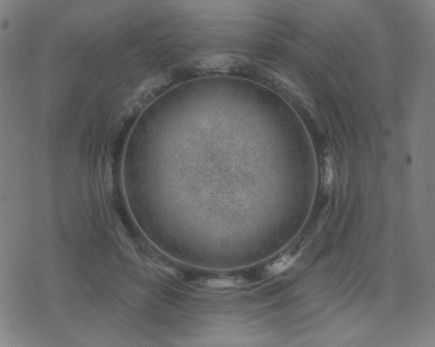 X0000072990504200607211202