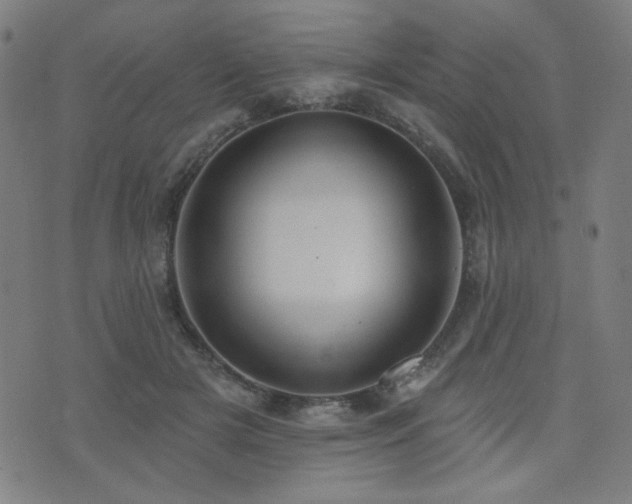 X0000072990505200607211202