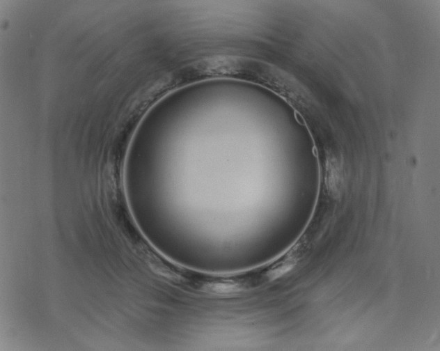 X0000072990506200607211202