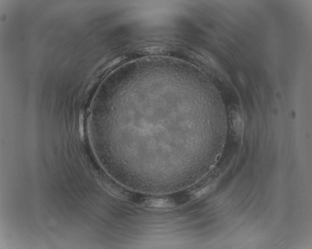 X0000072990507200607211202