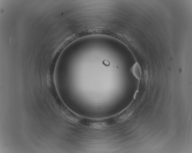 X0000072990508200607211202