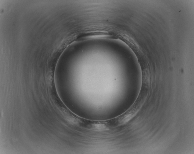 X0000072990509200607211202