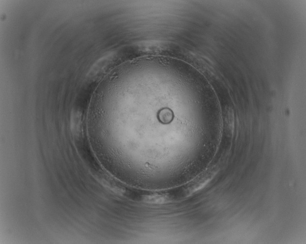 X0000072990511200607211202