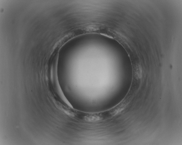 X0000072990512200607211202