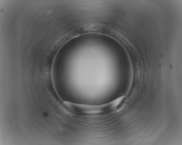 X0000072990513200607211202