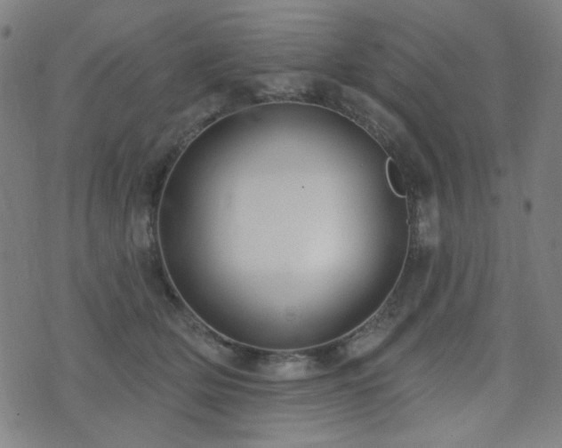 X0000072990514200607211202