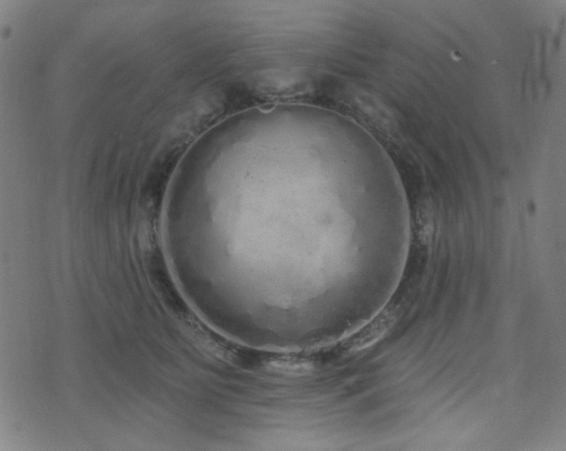 X0000072990515200607211202