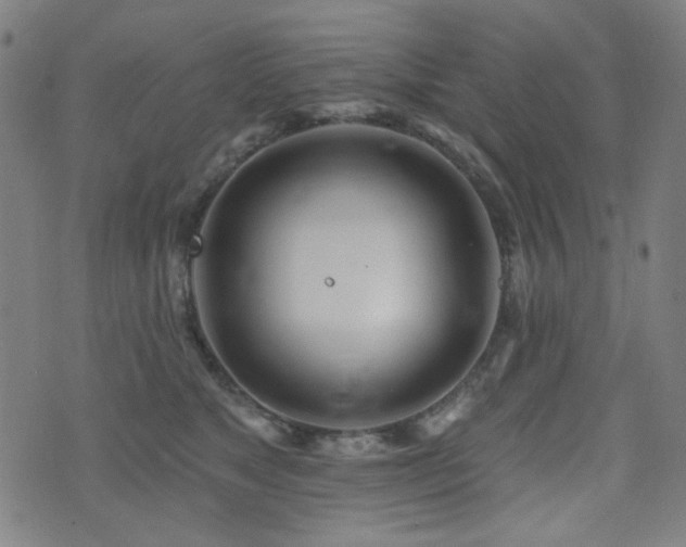 X0000072990517200607211202