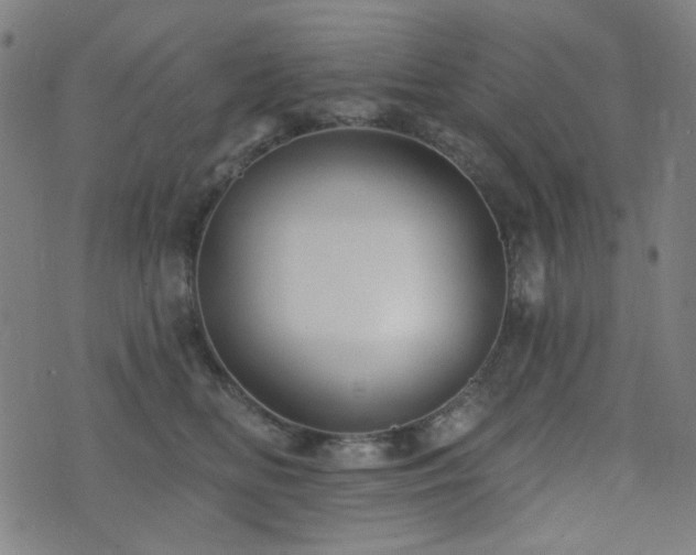 X0000072990518200607211202