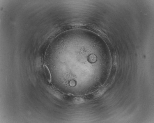 X0000072990519200607211202