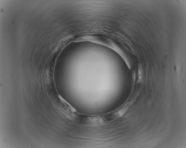 X0000072990520200607211202