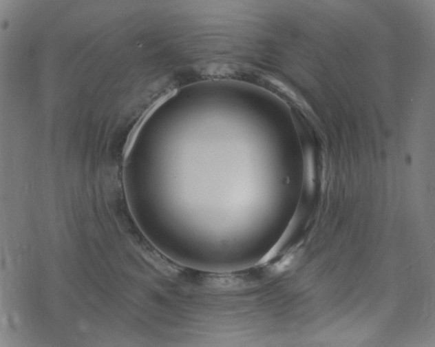 X0000072990521200607211202