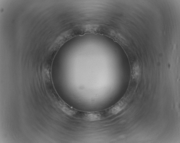 X0000072990522200607211202