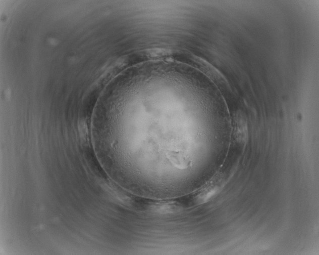 X0000072990523200607211202