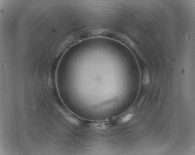 X0000072990524200607211202