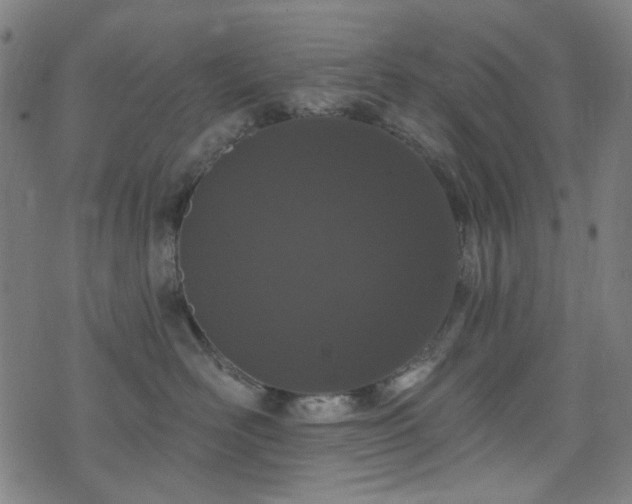 X0000072990526200607211202