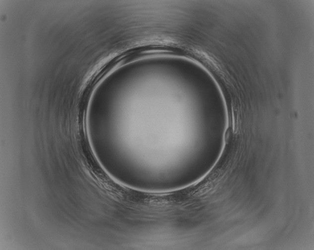 X0000072990531200607211201