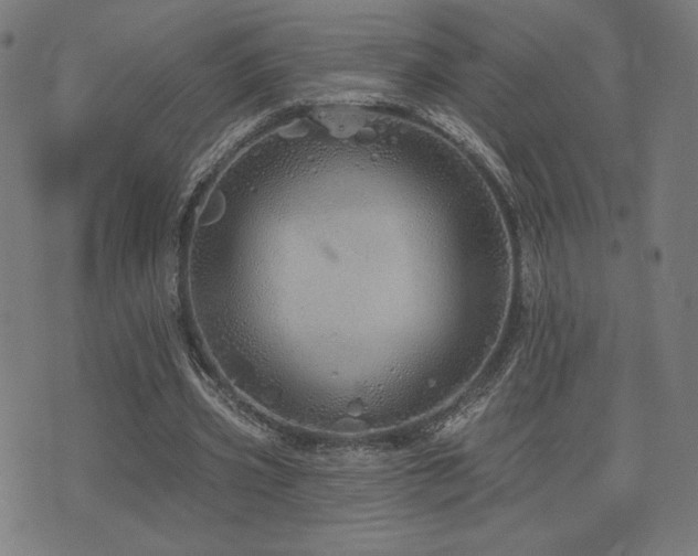 X0000072990533200607211201