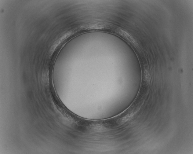 X0000072990534200607211201