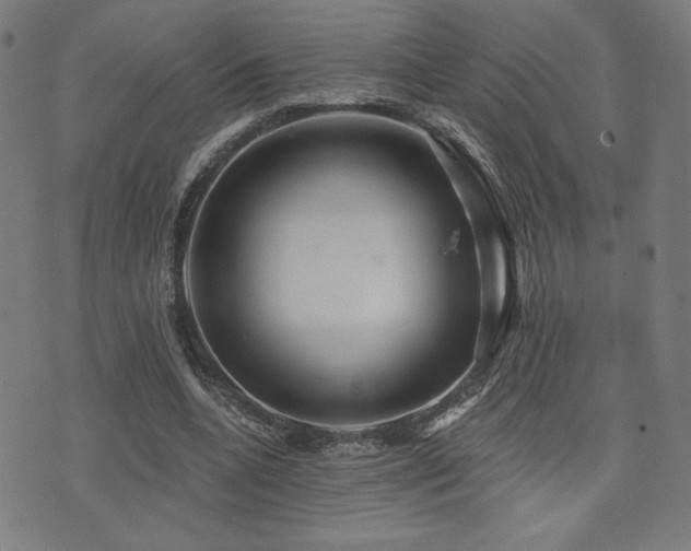 X0000072990536200607211201