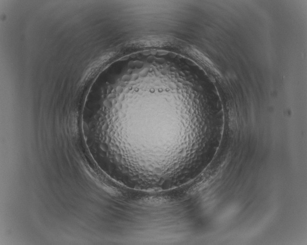 X0000072990537200607211201