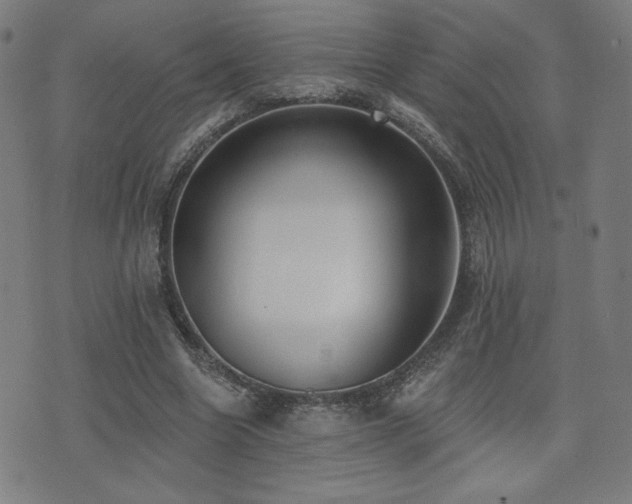 X0000072990538200607211201