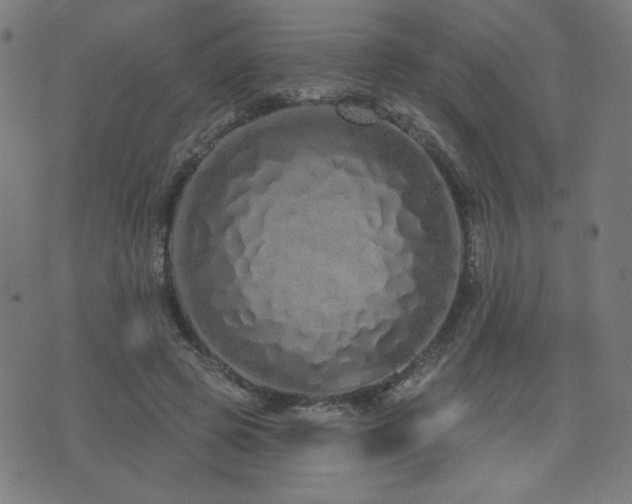 X0000072990545200607211201