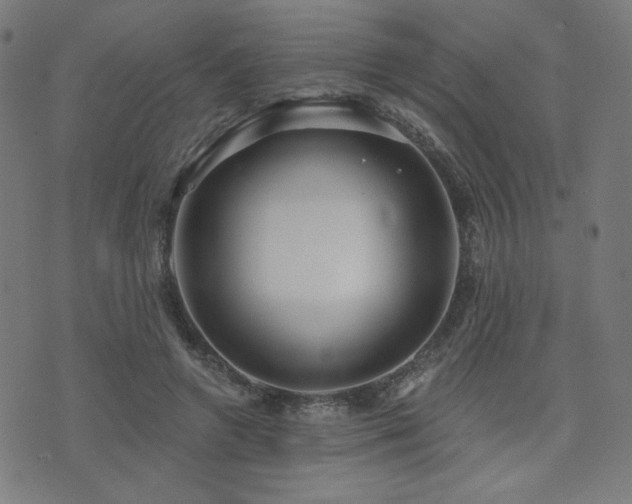 X0000072990546200607211201