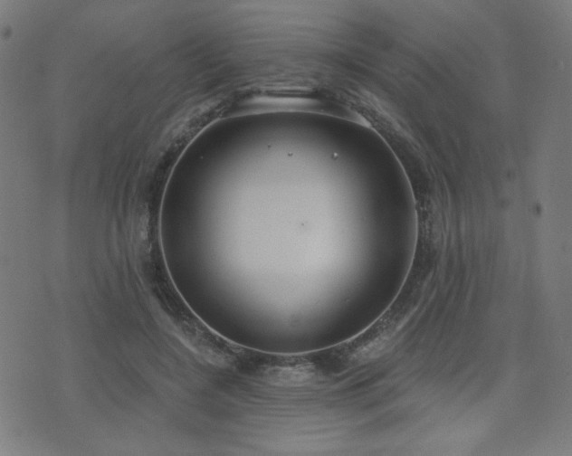 X0000072990548200607211201