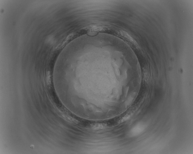 X0000072990549200607211201